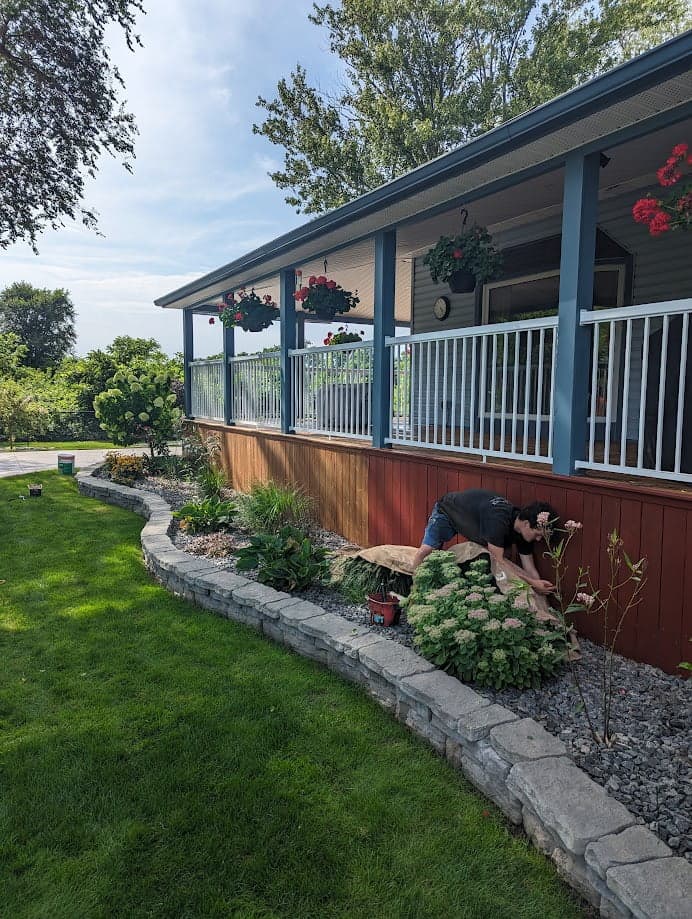 Freshly stained cedar deck - Deck Revitalize restoration project